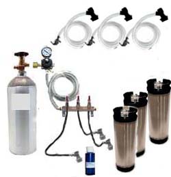 3 Keg Basic Homebrew CO2 System (used Ball Lock Kegs) - Click Image to Close