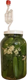 Pickling Kit with Recipe and instructions. (10 to 15 pickles)