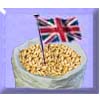 UK Malt (Malted Grain)