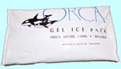Ice Pack for Shipping